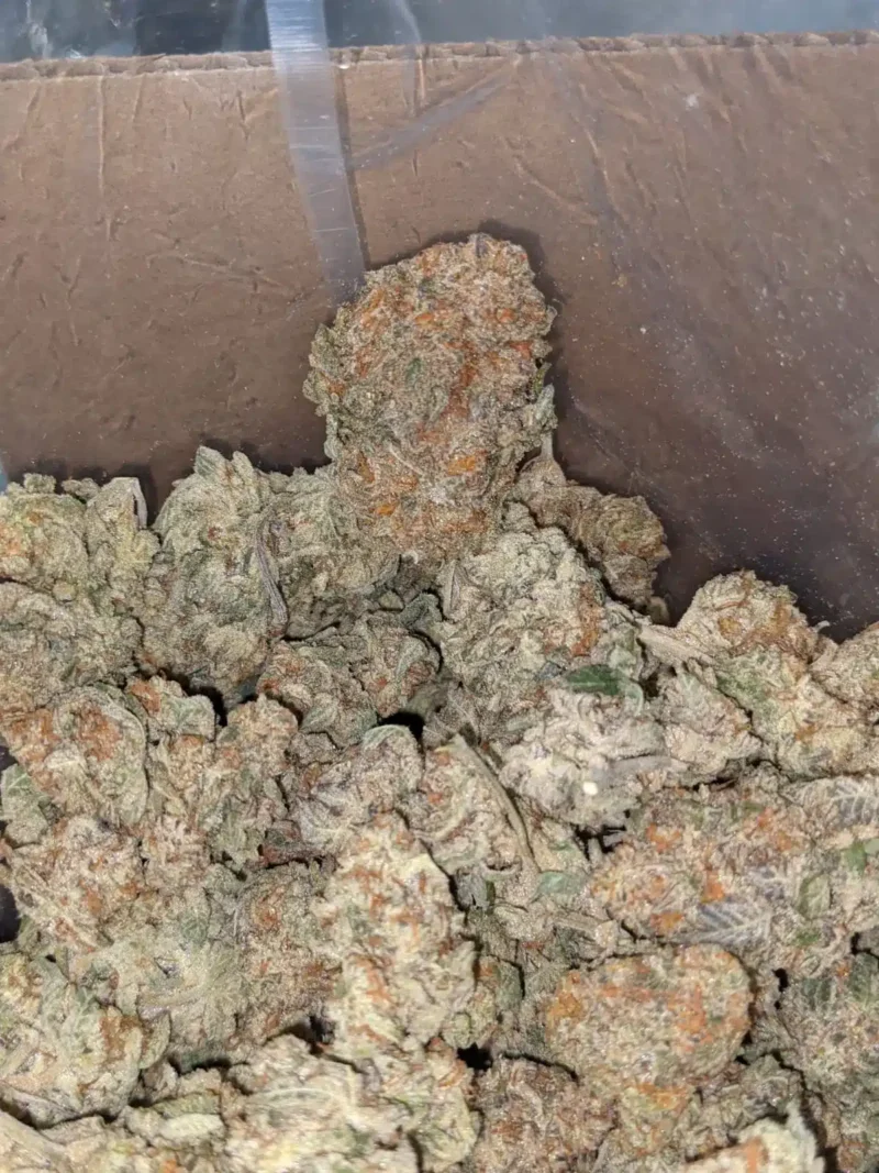 Chem De La Chem - Image 5