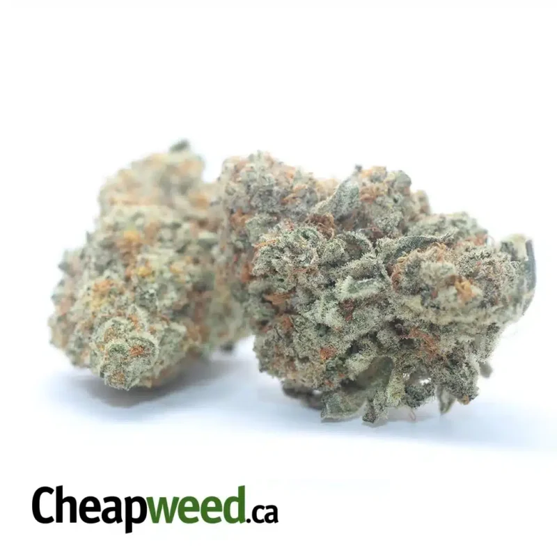 Chem De La Chem #2 - Image 2