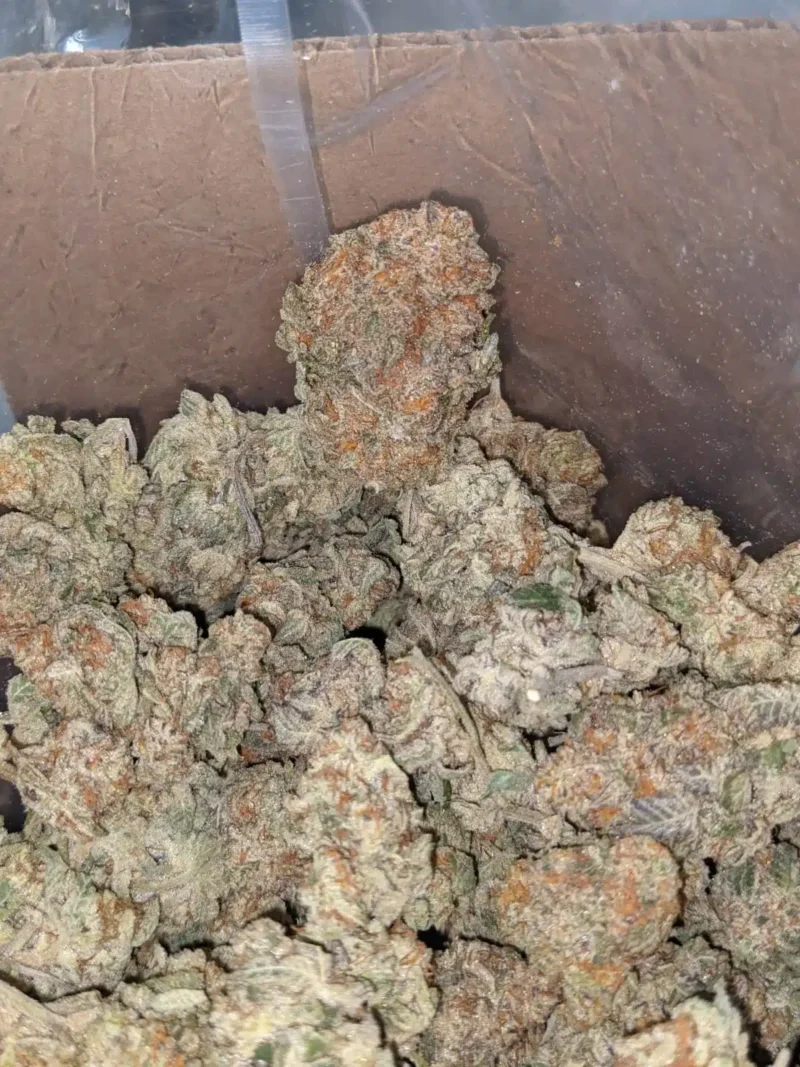 Chem De La Chem - Image 4