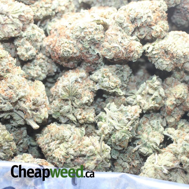 Chem Glue - Image 3