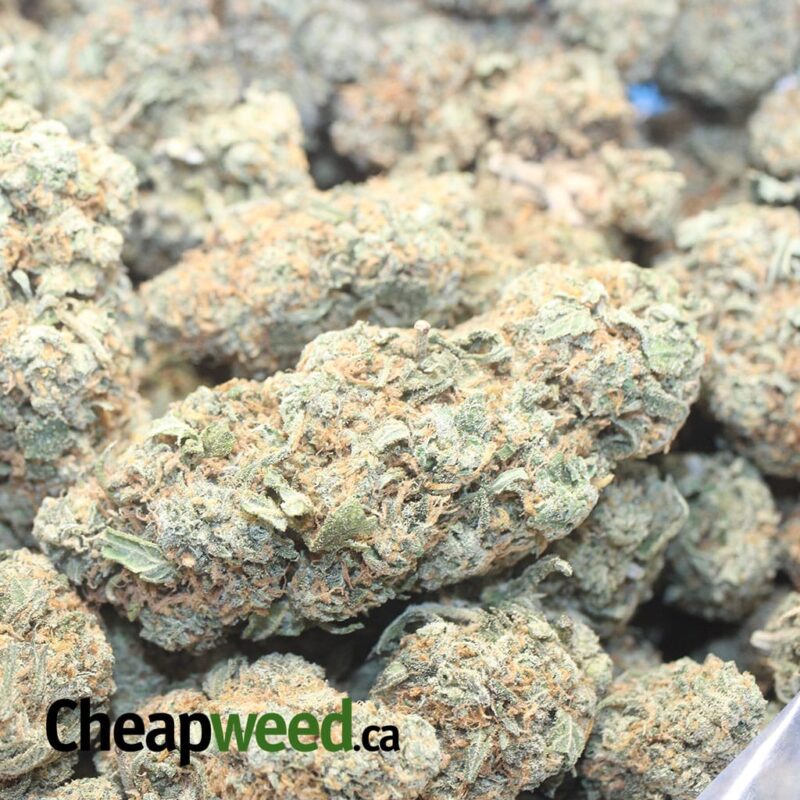 Chemdawg OG - Image 3