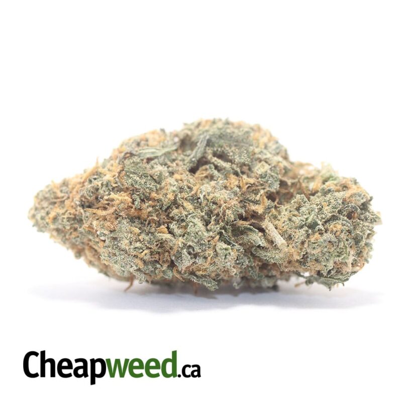 Chemdawg OG