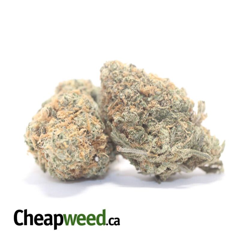Chemdawg OG - Image 2