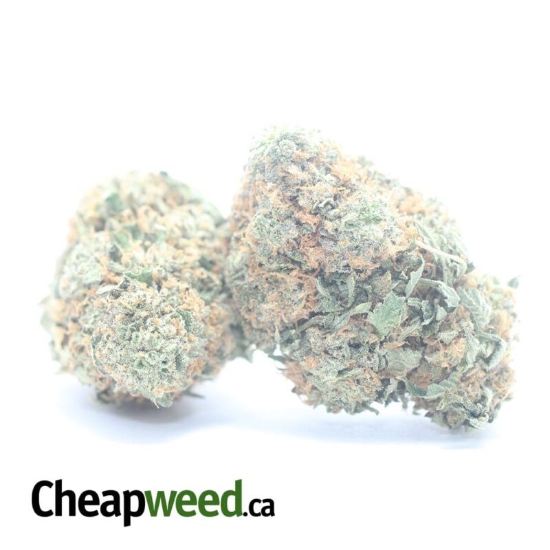 Chemo - Image 2