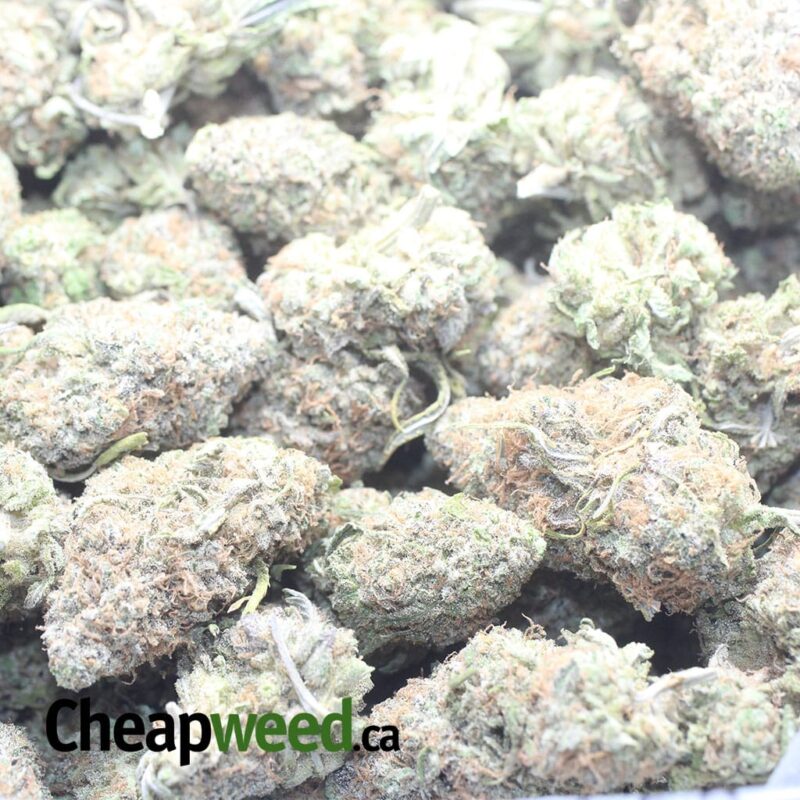 Cherry Bomb - Image 3