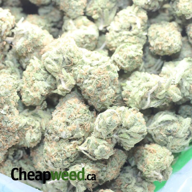 Cherry Pie - Image 3