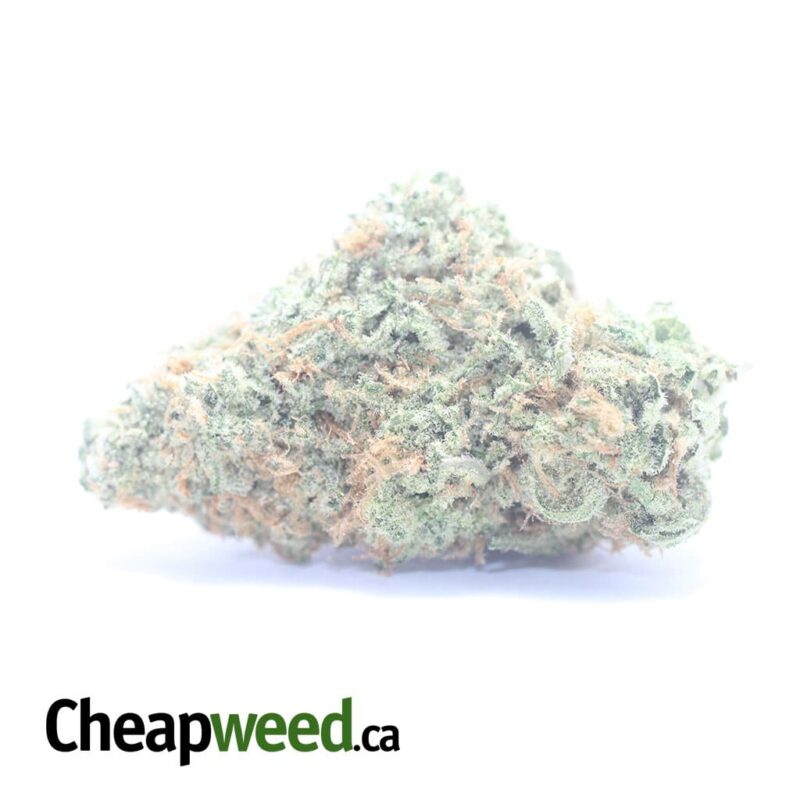 Cherry Pie