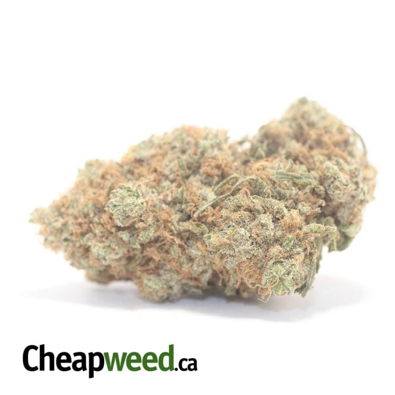 Chocolate Diesel