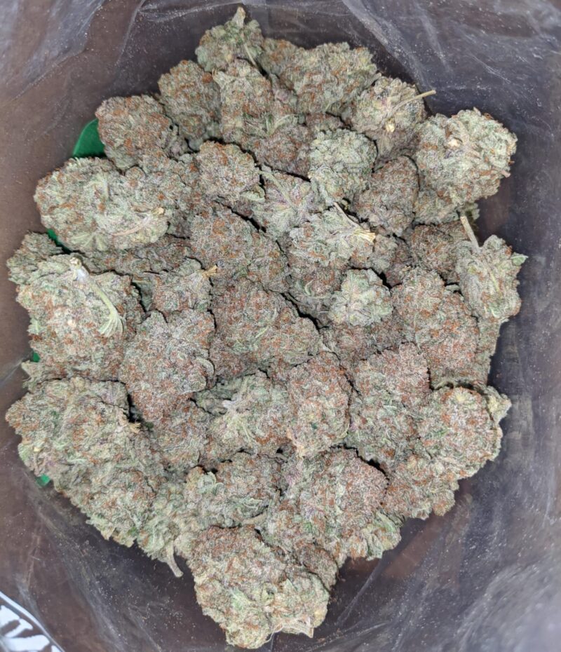 Citral Glue - Image 6