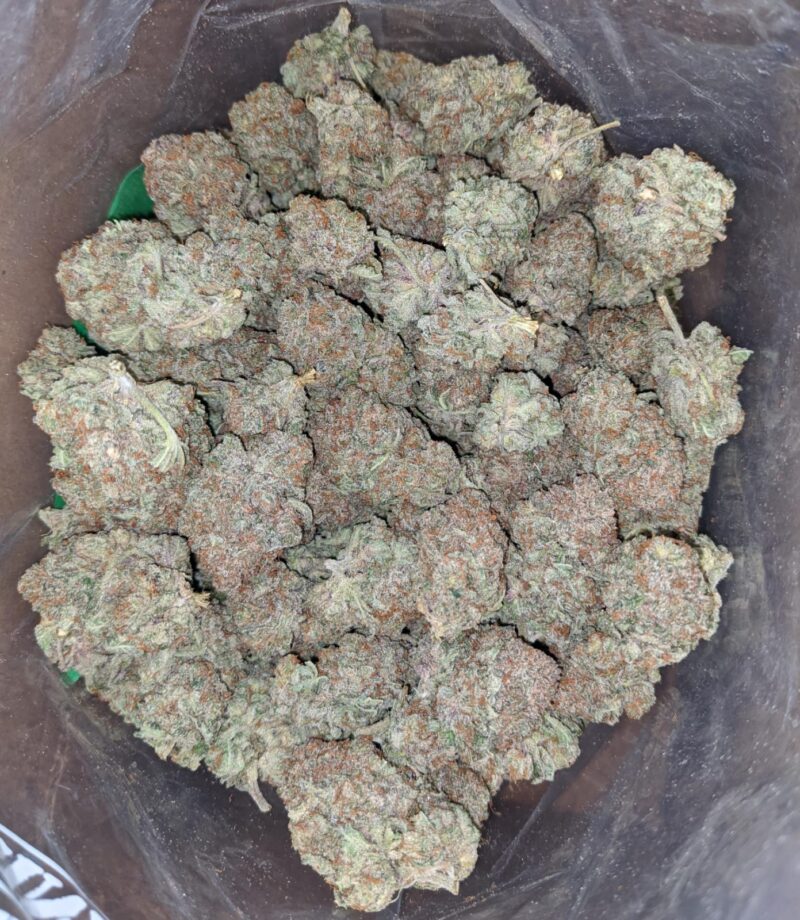 Citral Glue - Image 5