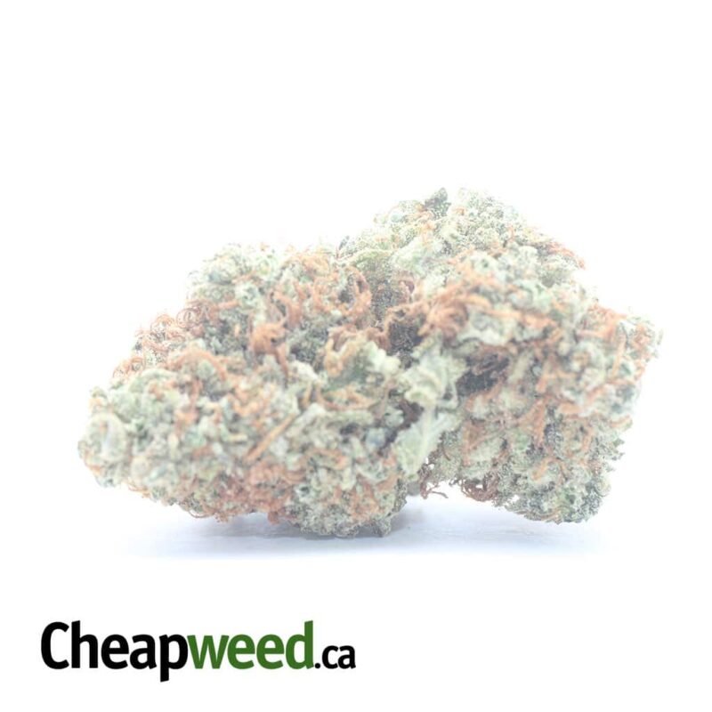 Citrus Glue