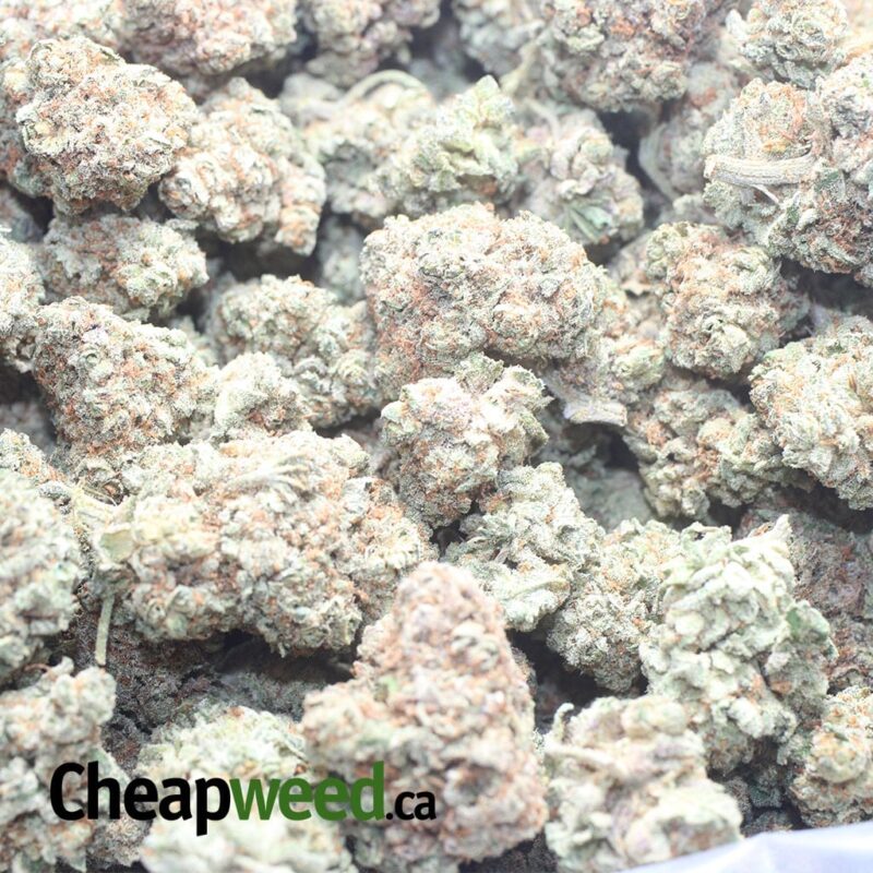 Citrus Haze - Image 3