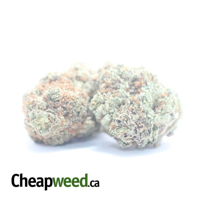 Citrus Haze - Image 2