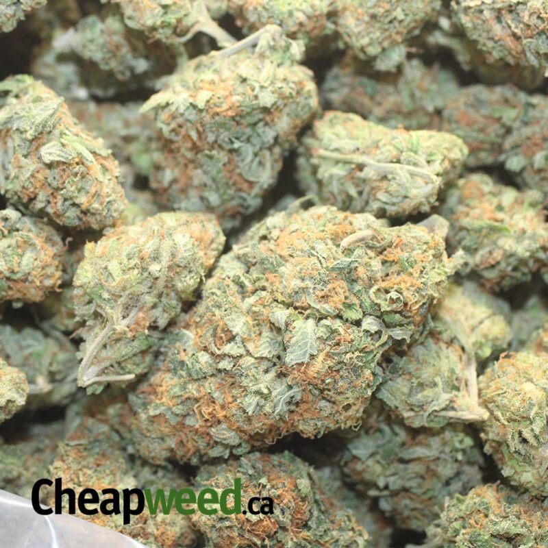 $ 72 Oz – Cookie Dough - Image 3