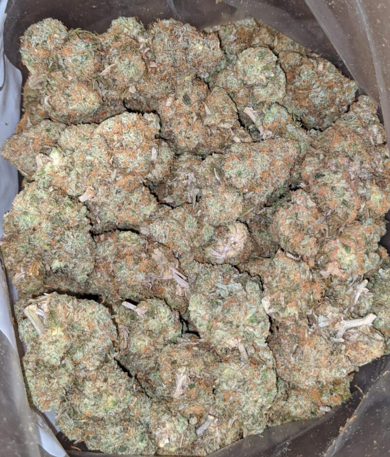 Cookie Dough - Image 2