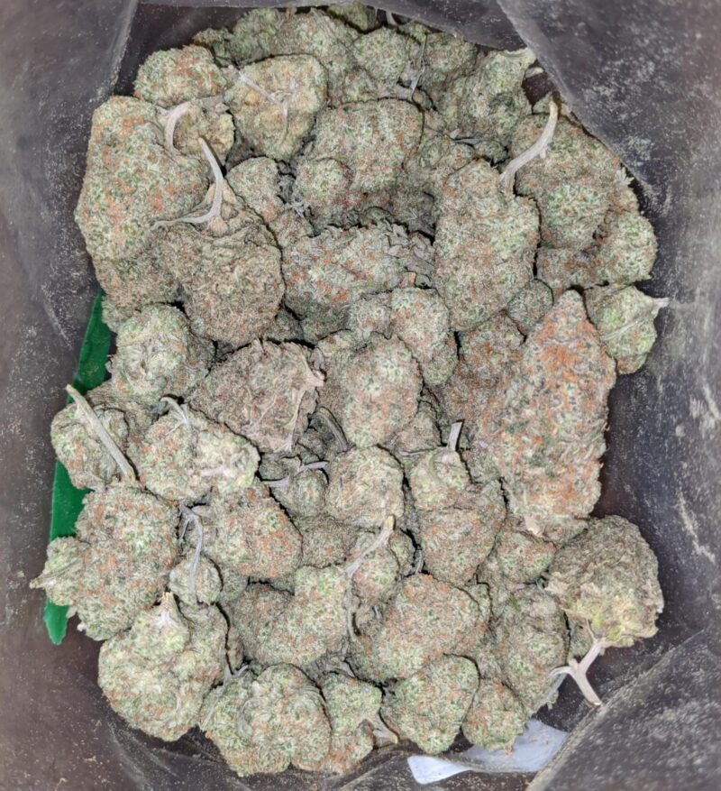 Cookie Monster - Image 5