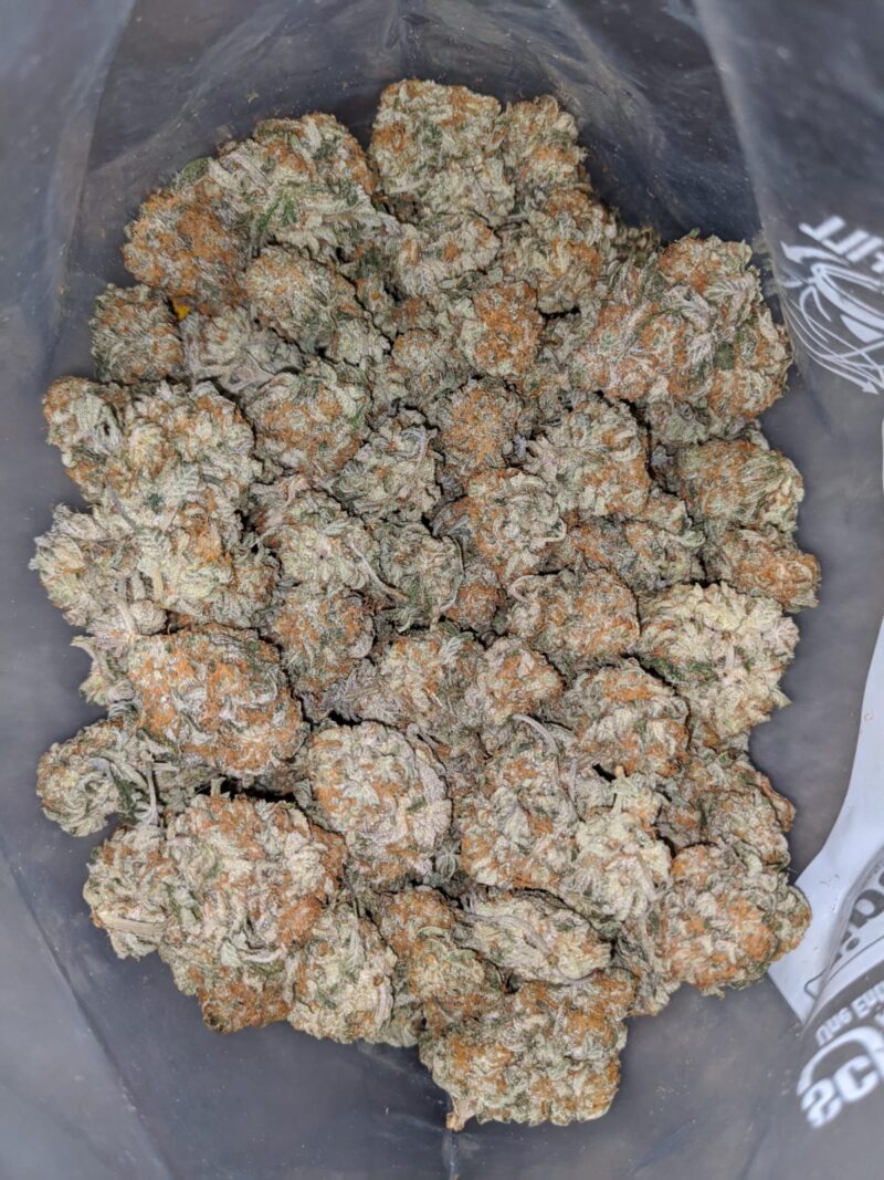 Cookie Monster #2 - Image 6