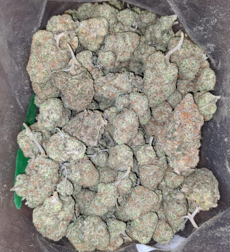 Cookie Monster - Image 4