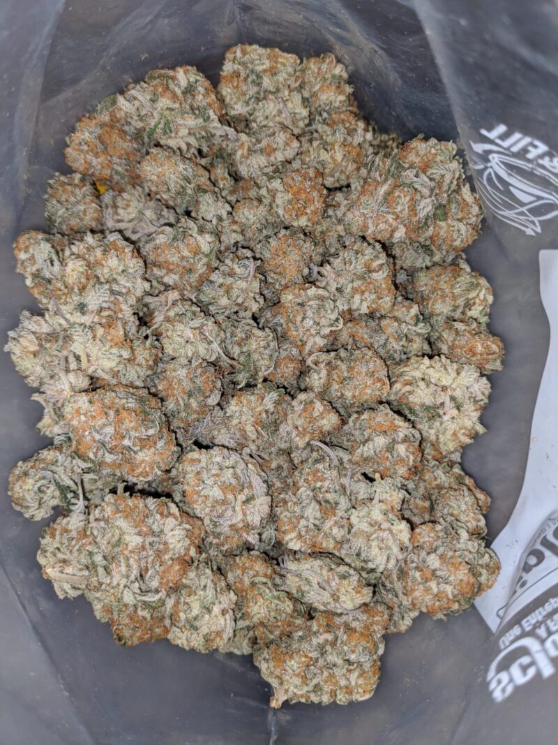 Cookie Monster #2 - Image 5