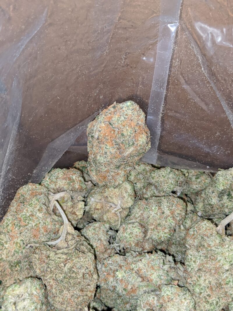 Cookie Monster - Image 6