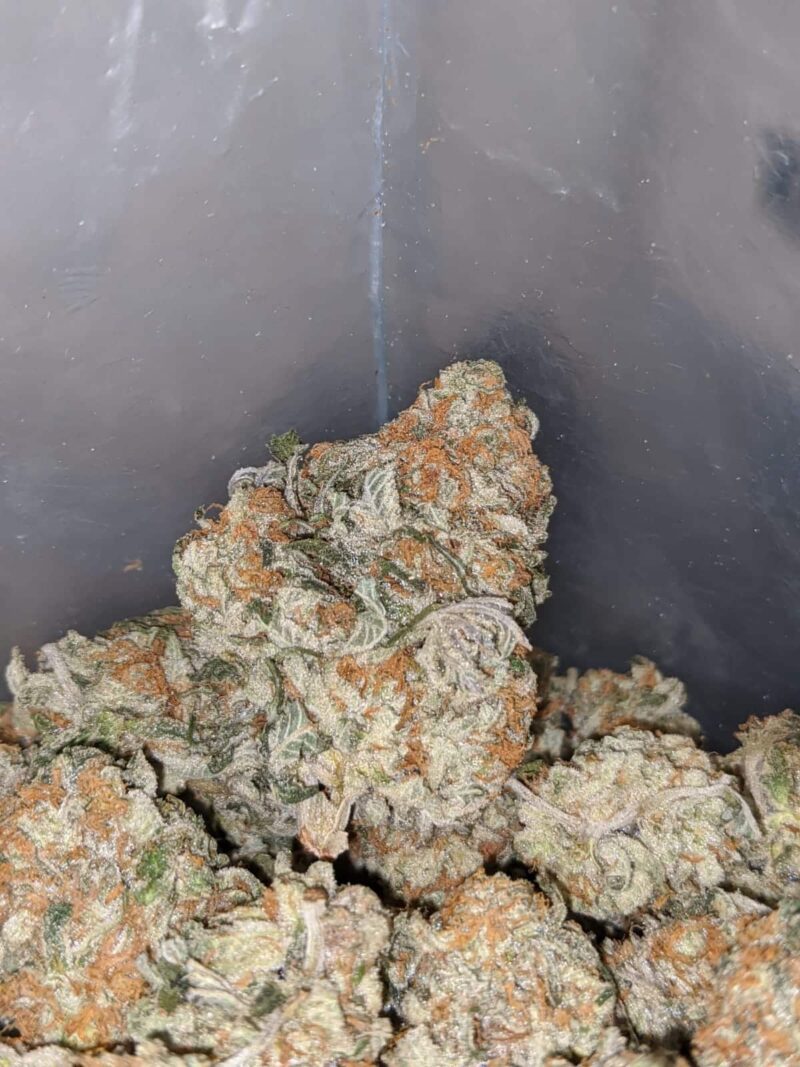 Cookie Monster #2 - Image 7