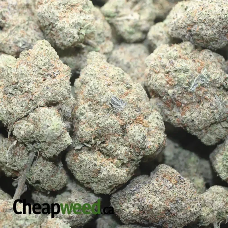 Cookies & Cream - Image 3