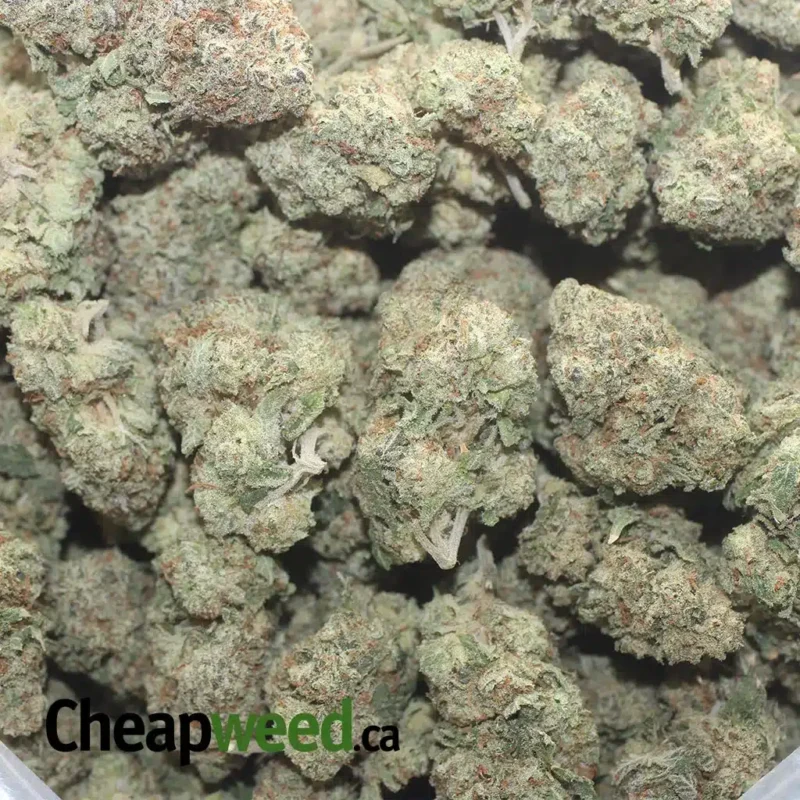 Cookies N’ Cream - Image 3