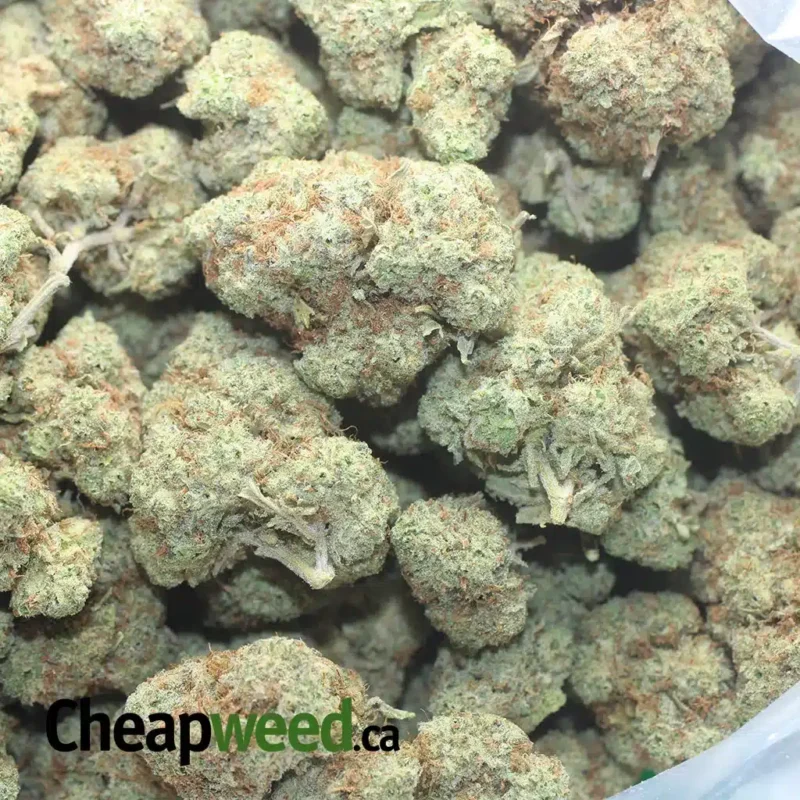 $50 Oz Cookies N’ Creme - Image 3