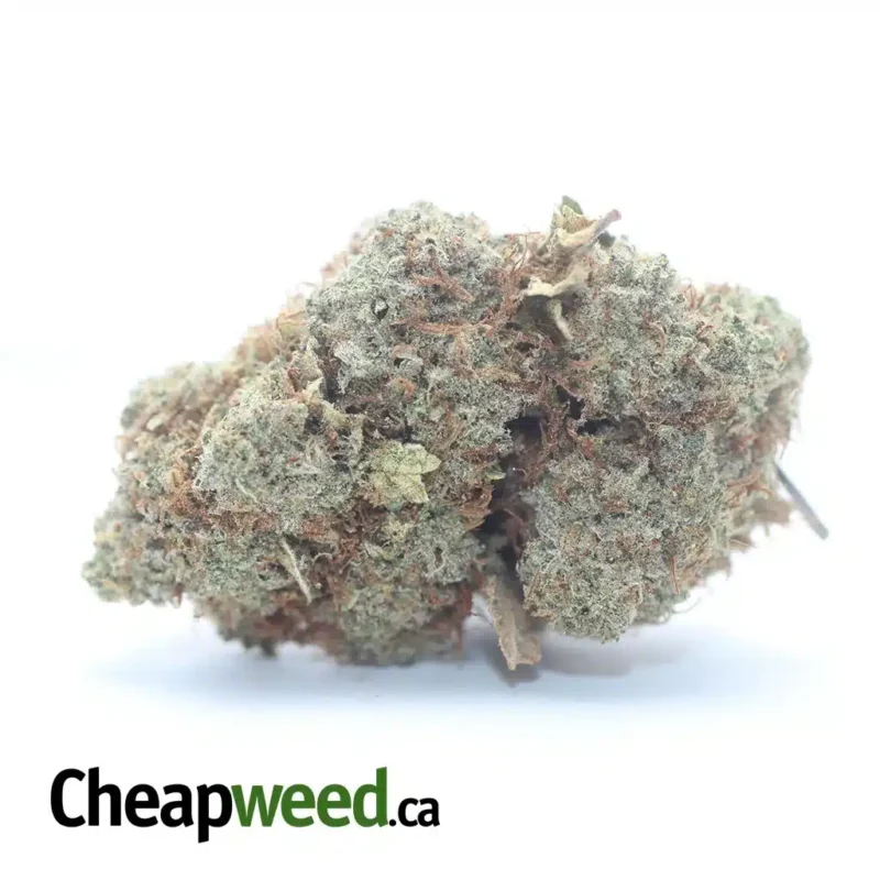 $50 Oz Cookies N’ Creme