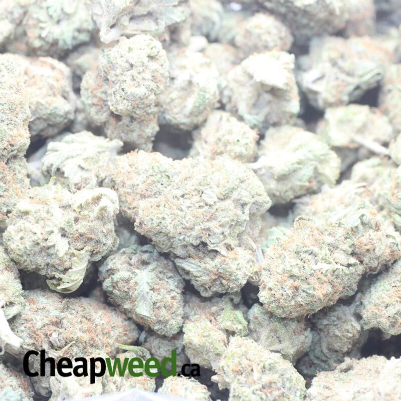 Cookies Kush - Image 3