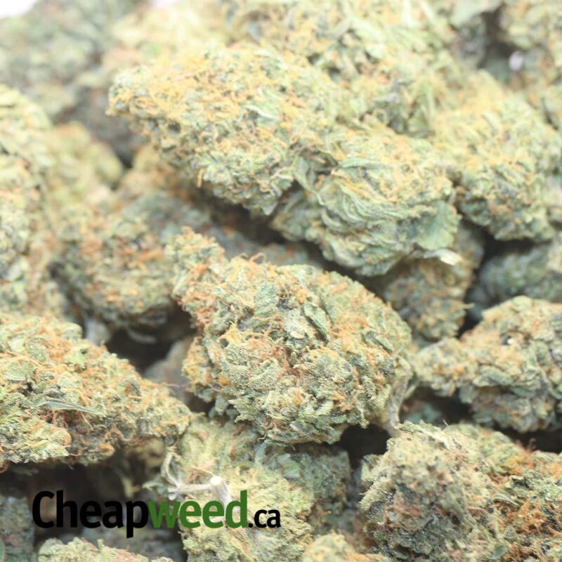 Cosmic Diesel - Image 3