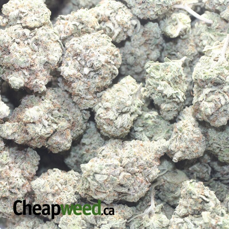 Cosmic Kush - Image 3