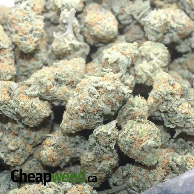 Crunchberries - Image 3