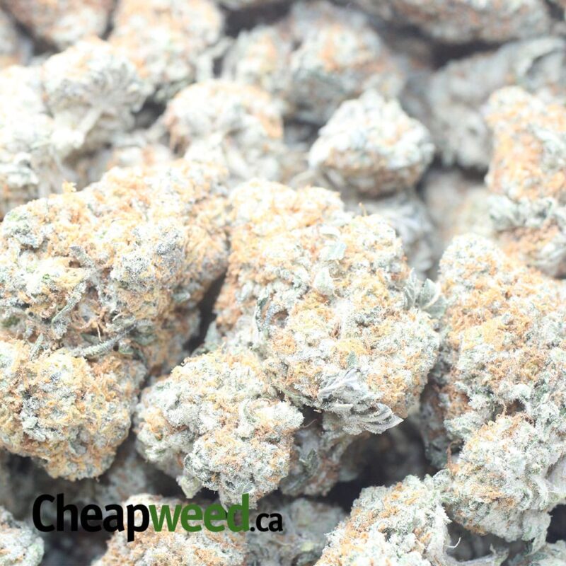 Crunch Berry - Image 3