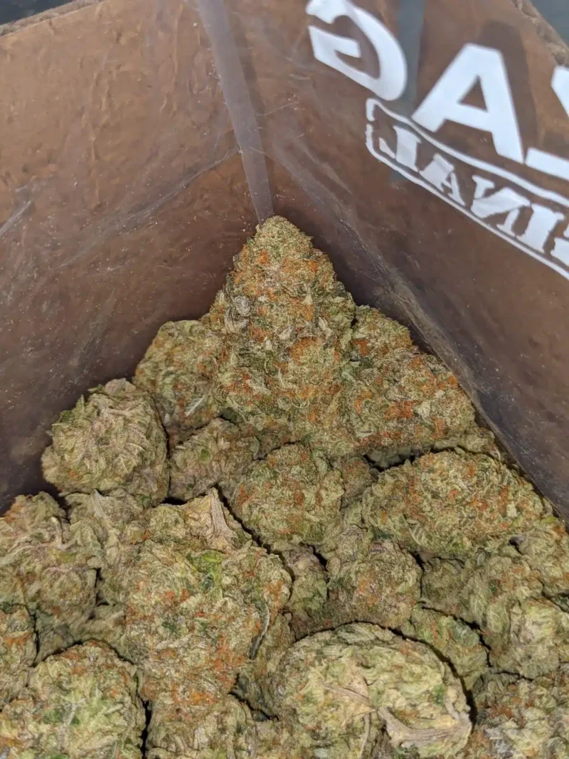 Candyland - Image 7