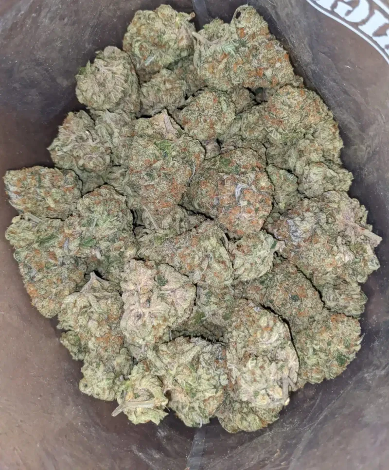 Candyland - Image 5