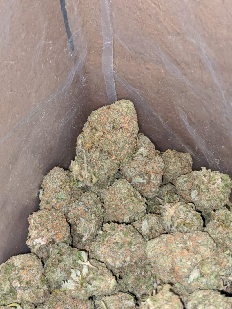 Candy Kush - Image 6