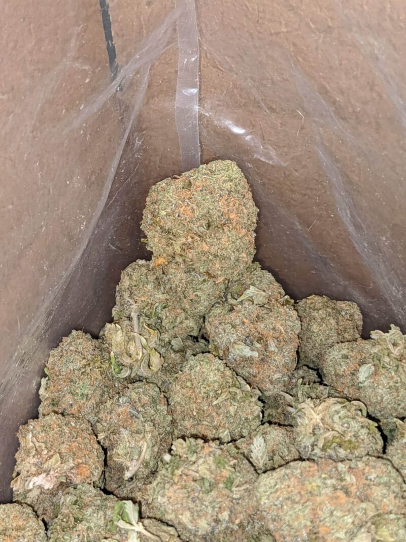 Candy Kush - Image 5
