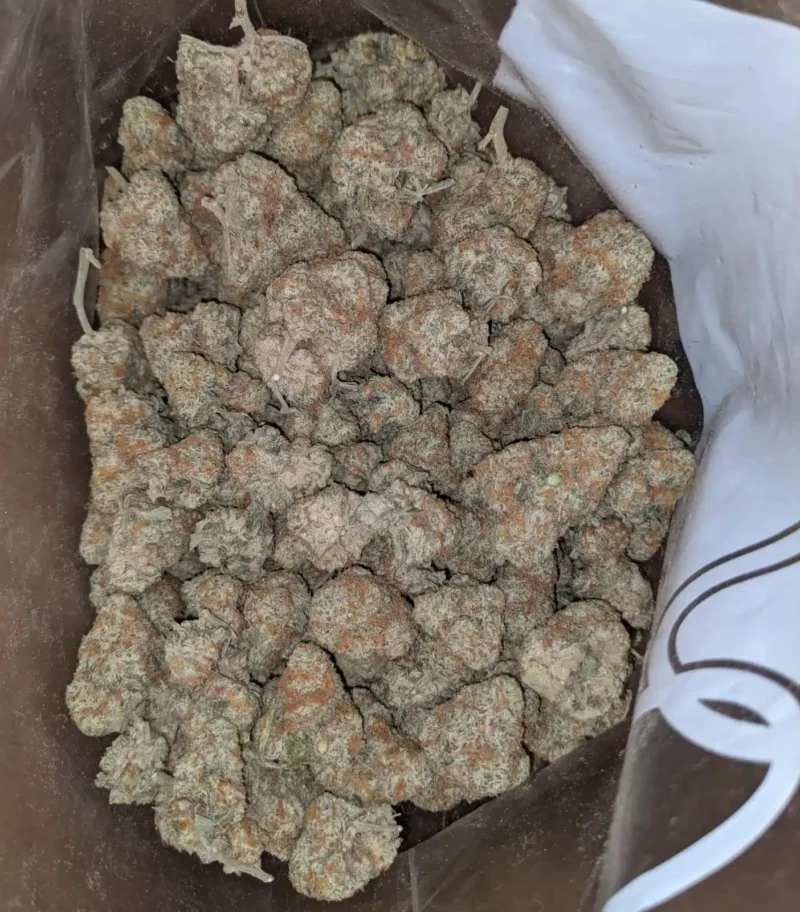 Champagne #2 - Image 6