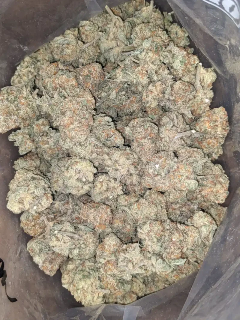 Chem De La Chem #2 - Image 5