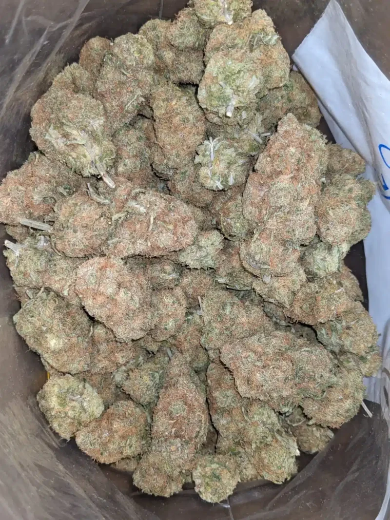 Chocolate Kush - Image 4