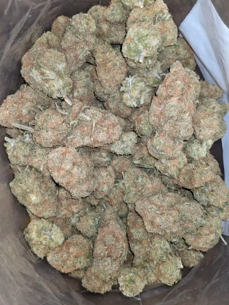 Chocolate Kush - Image 5
