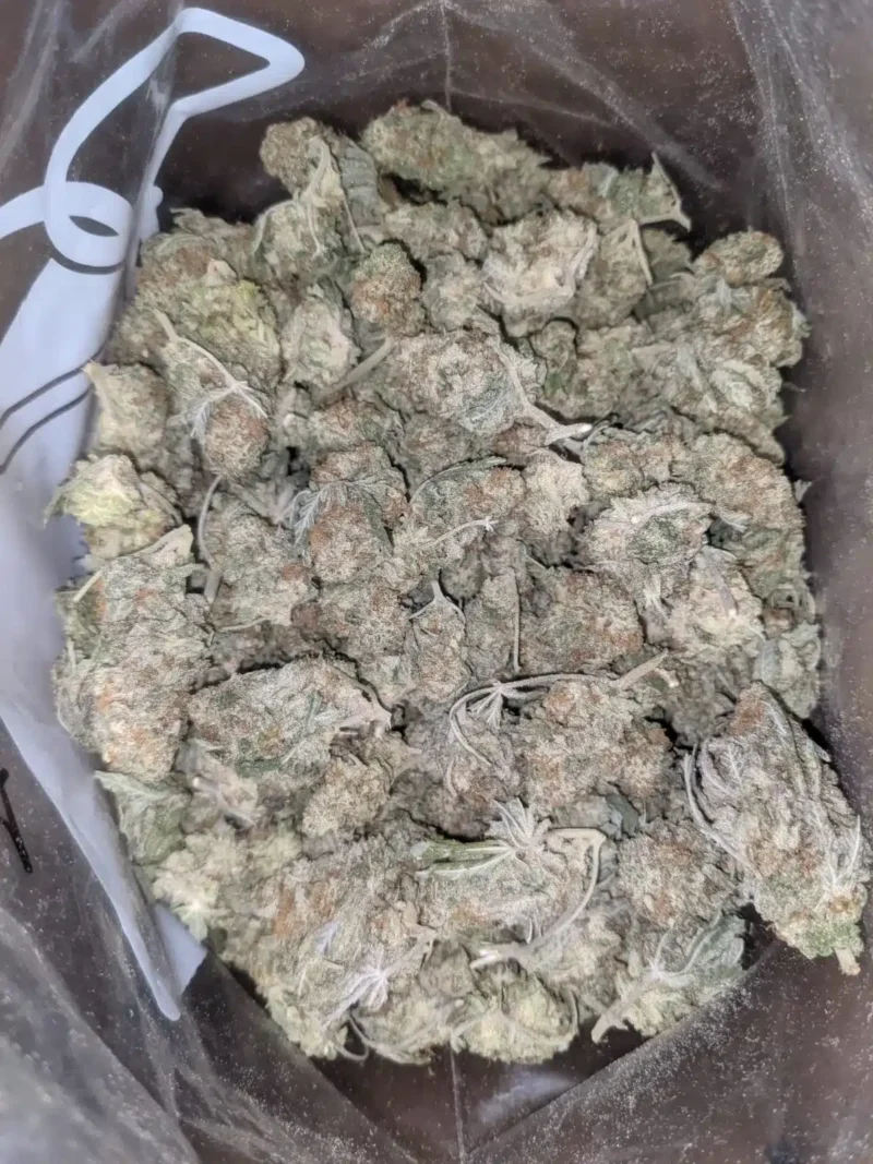 Chocolope – *Deal Of The Day* - Image 5