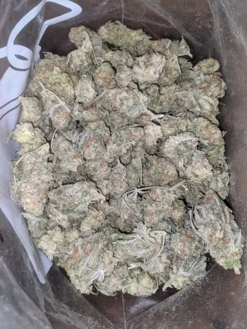 Chocolope – *Deal Of The Day* - Image 7