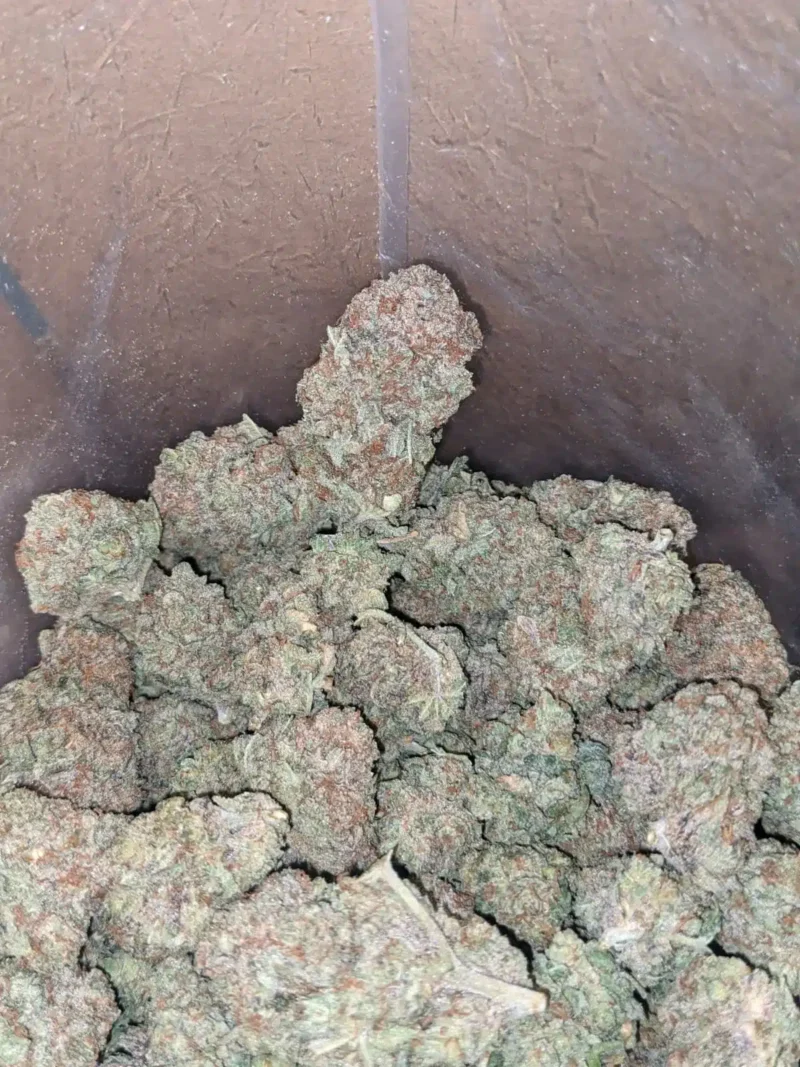 Citrus - Image 5