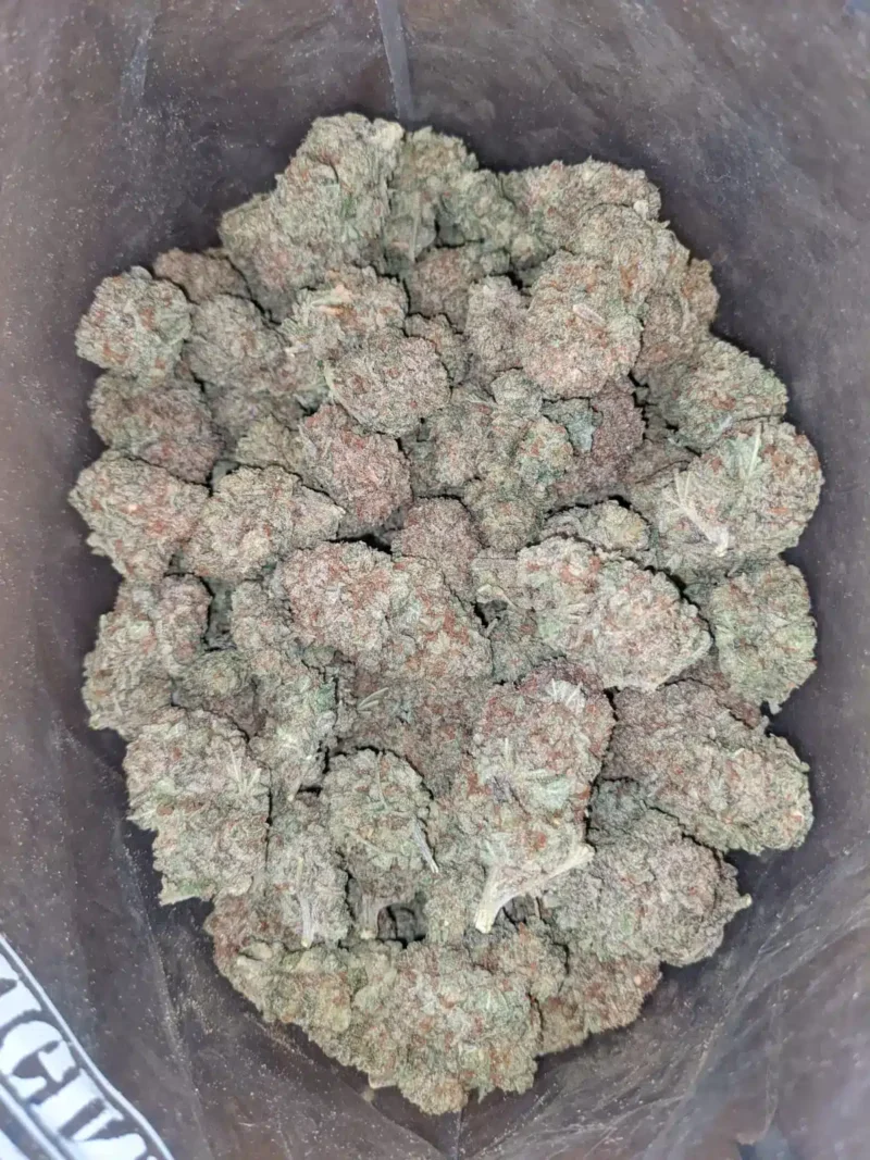 Citrus - Image 4