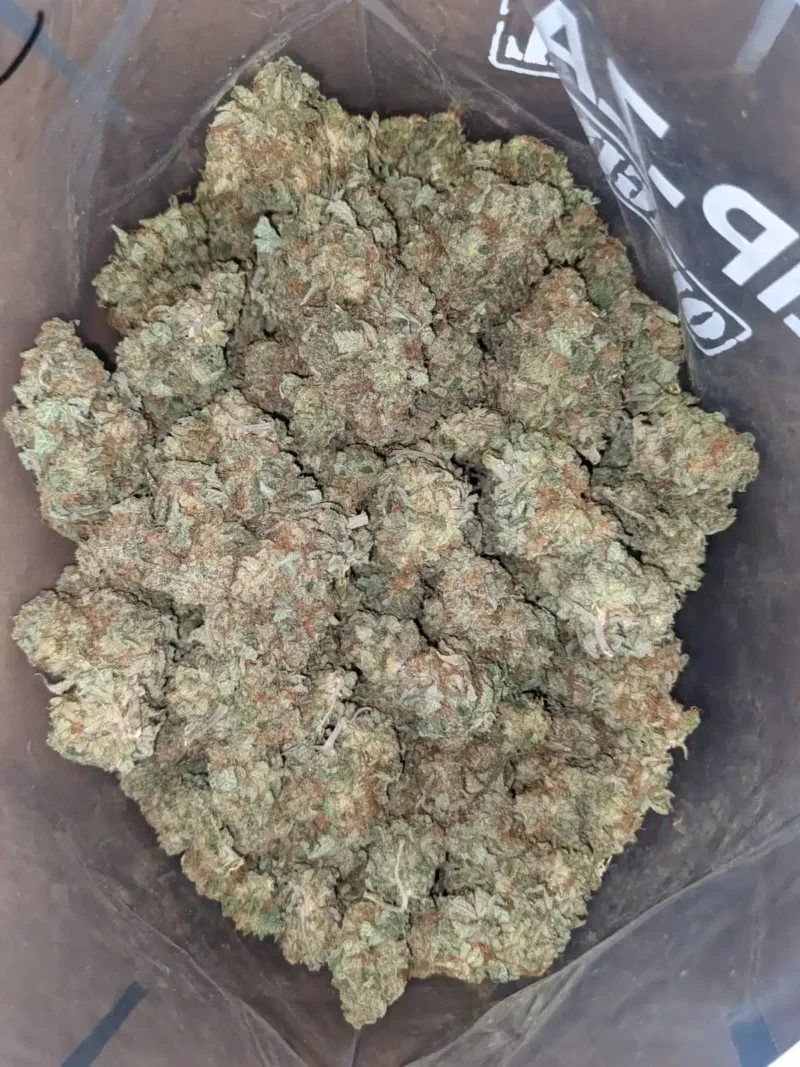 Citrus Sour - Image 5