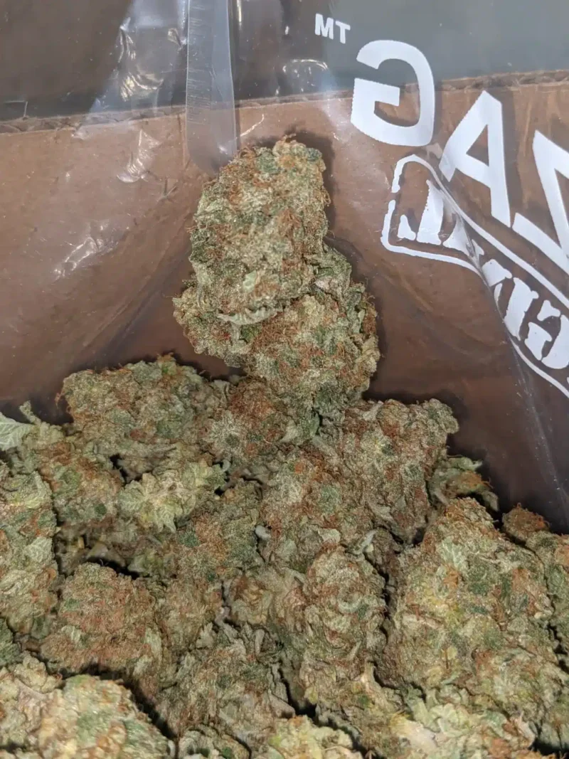 Citrus Sour - Image 7