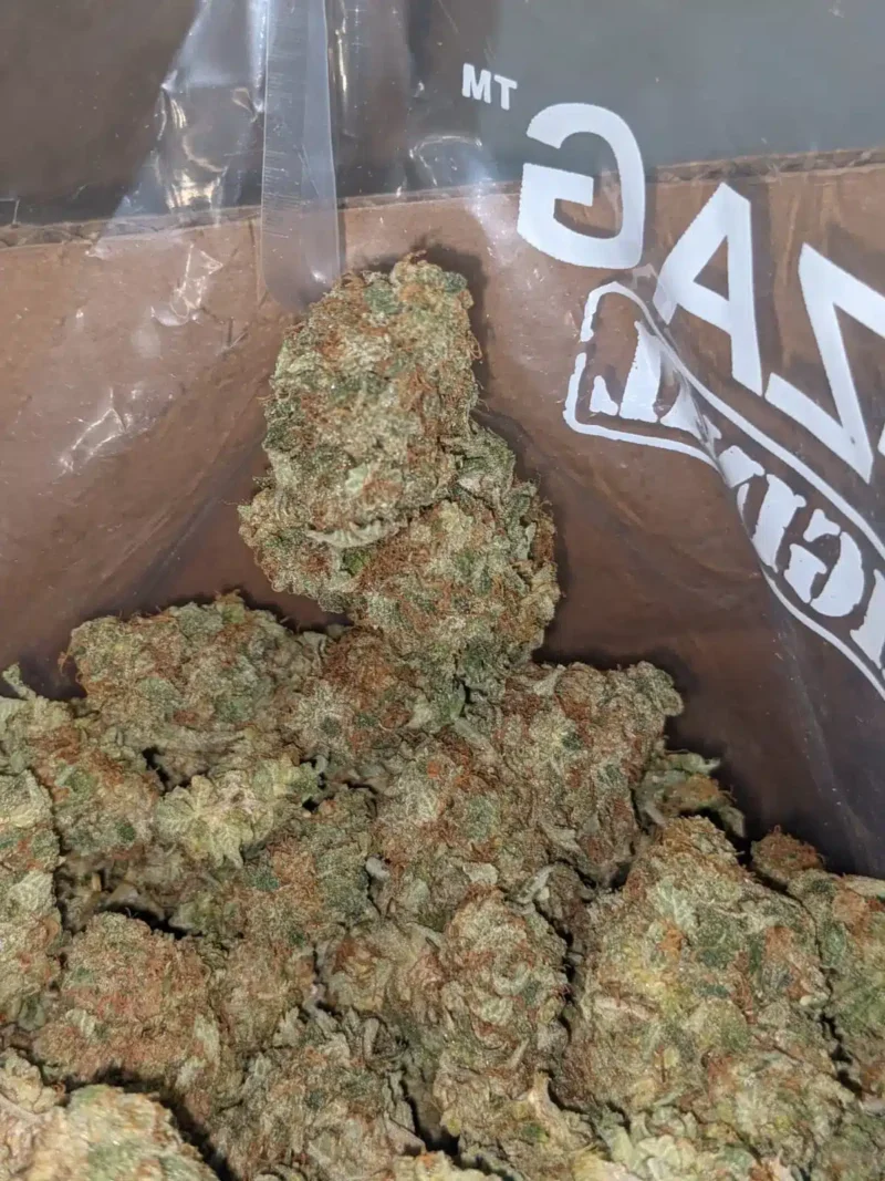 Citrus Sour - Image 6