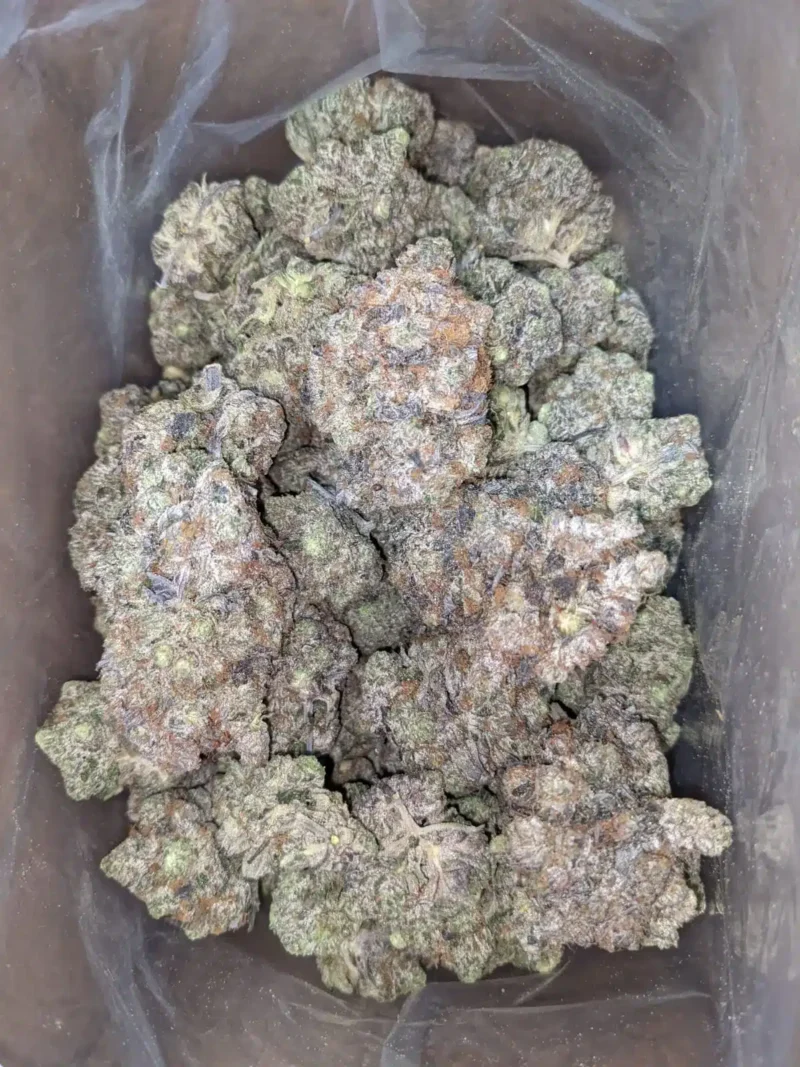 Comatose Pink - Image 4